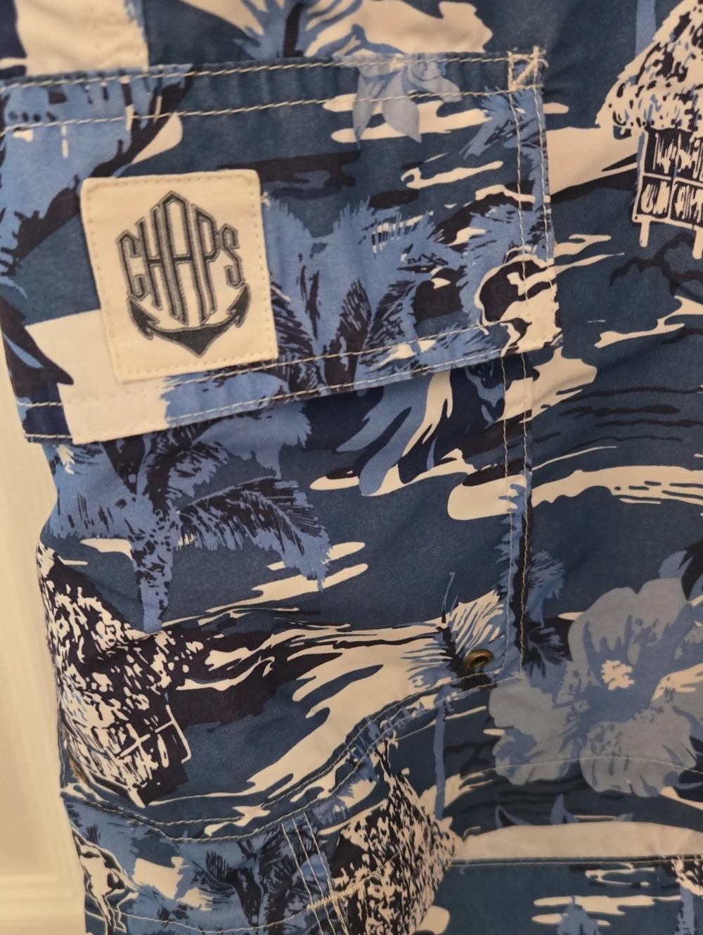 2 Pair Big And Tall Swim Shorts